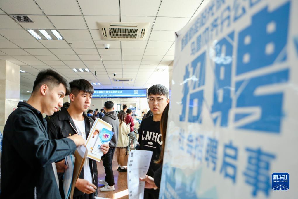 狮子老鹰游戏